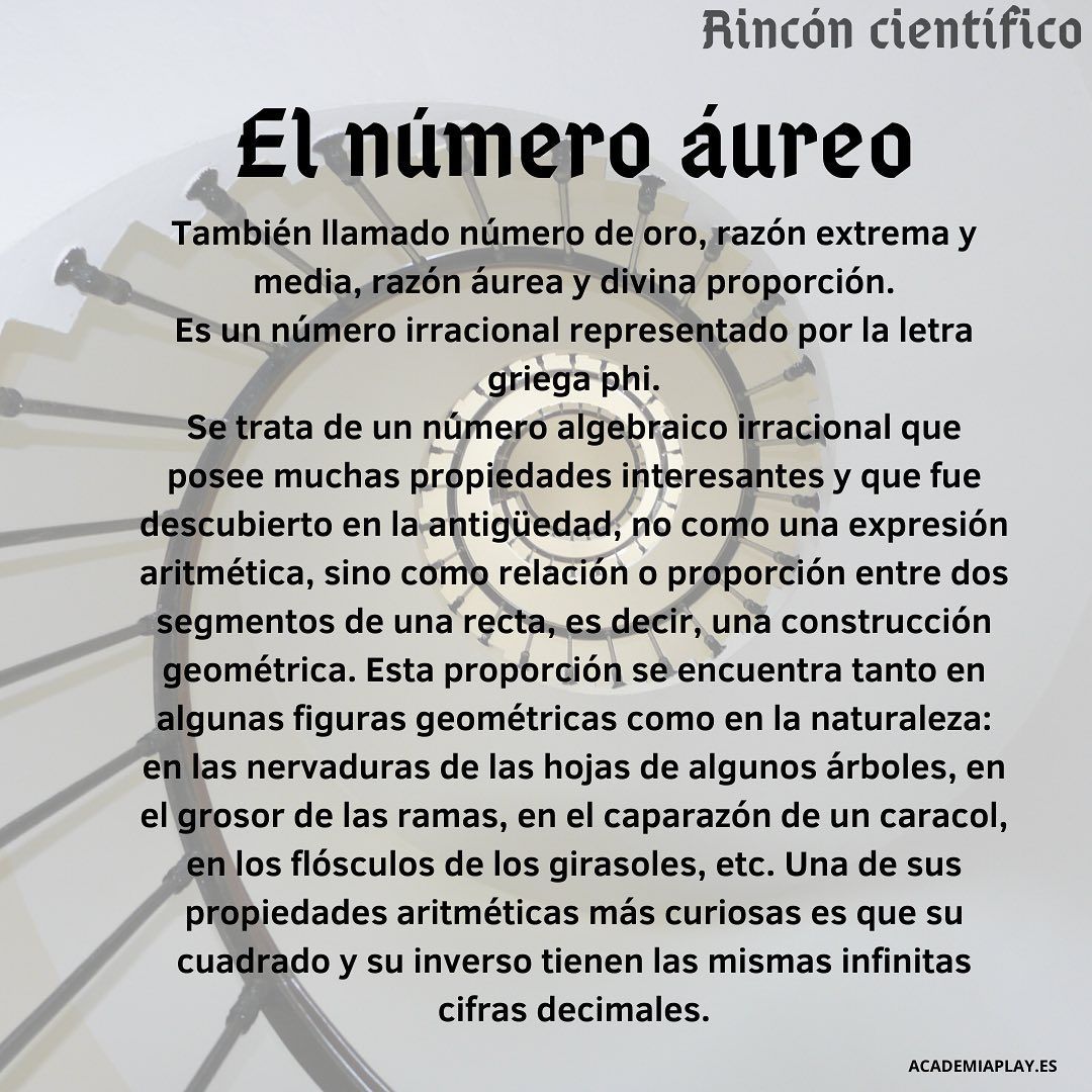 rinconcientifico9