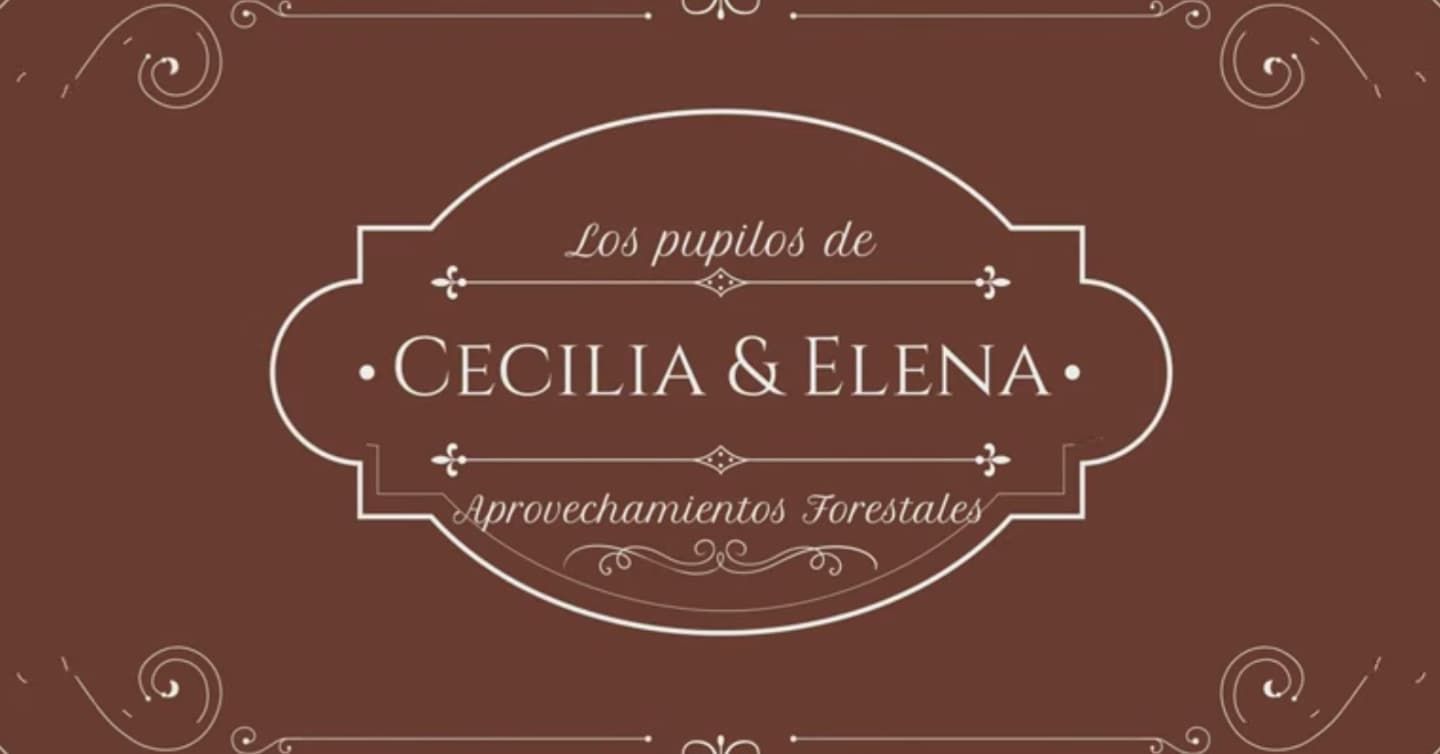 setas