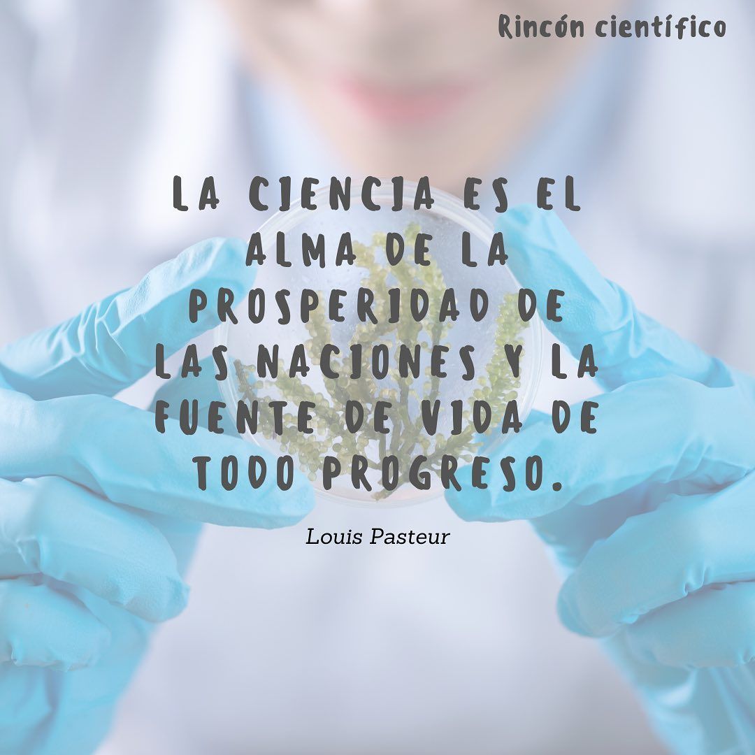 rinconcientifico12