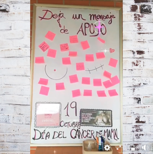 apoyo cancer mama