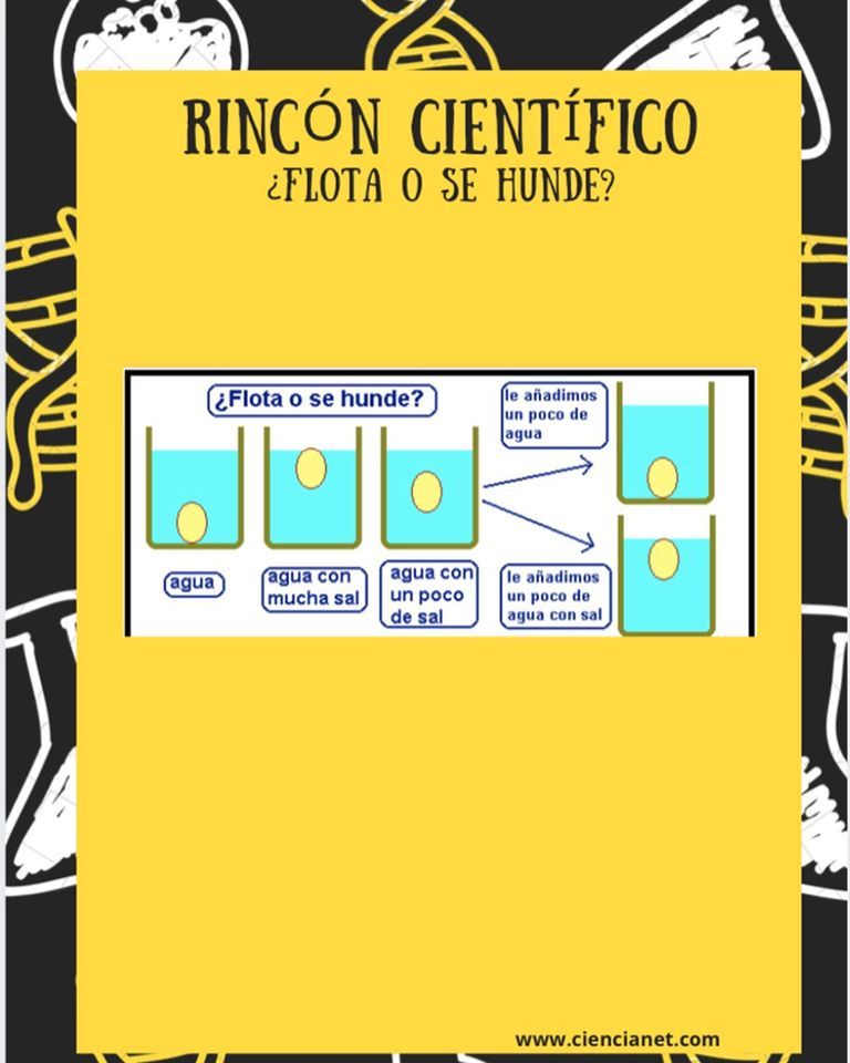 rinconcientifico3