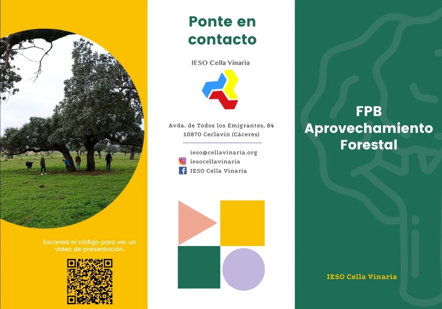 fp promocion1